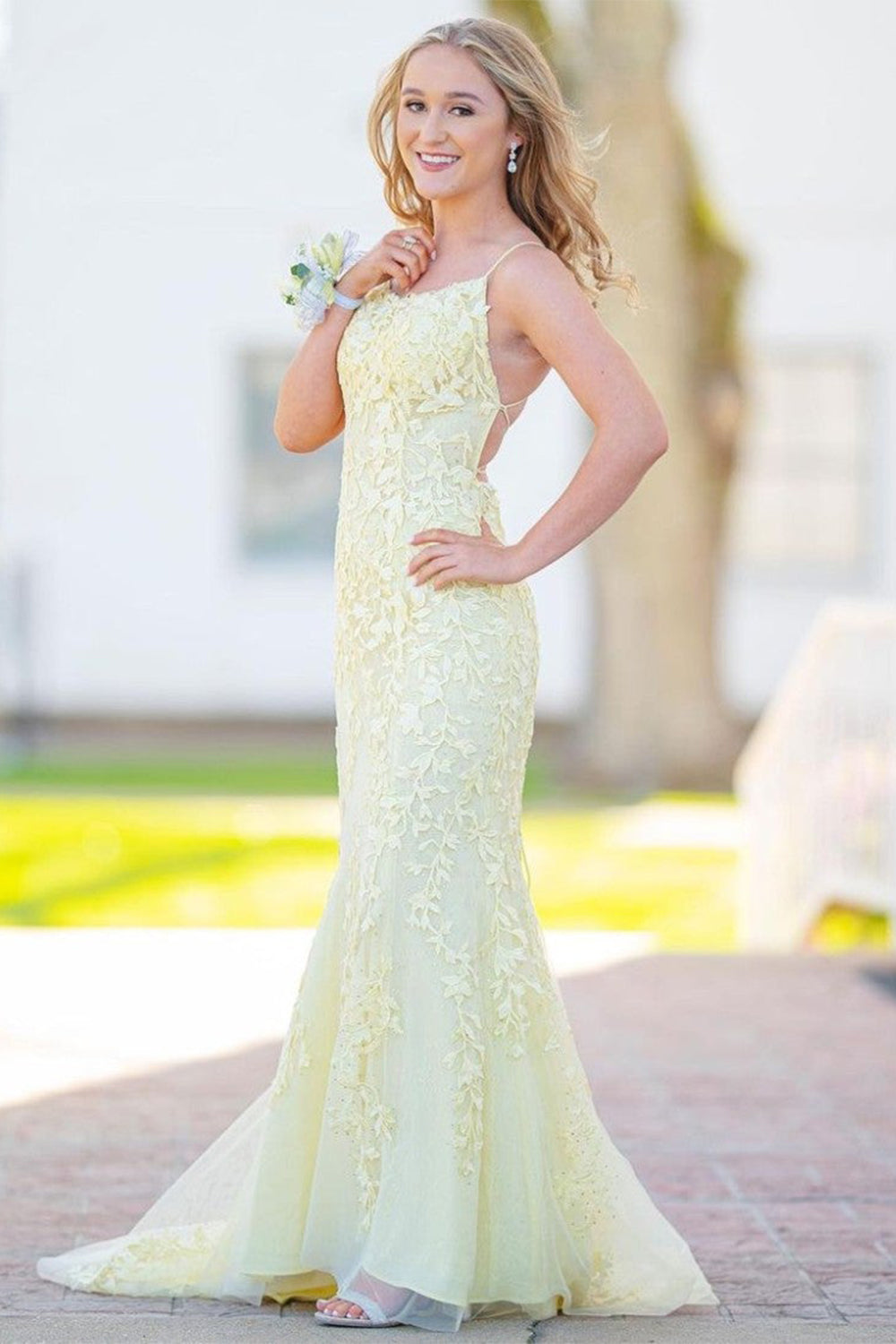 Mermaid Long Prom Dress Backless Evening Dress