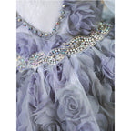Baby Girl First Communion Dress Flower Girl Princess Dress Rose Beaded Mesh Fluffy  Dress