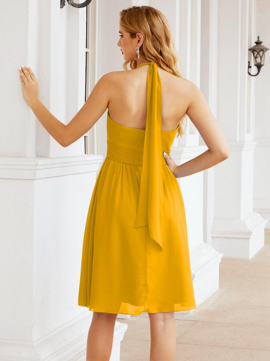 Baoleely Halter Chiffon Bridesmaid Dresses Short Sleeveless Formal Party Dress Open Back 28023