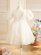 Ball-Gown/Princess Organza Knee-length First Communion Flower Girl Dress