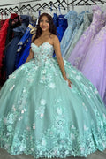 Sweetheart Tulle Ball Gown Quinceanera Dress with Appliques