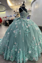 Sweetheart Tulle Ball Gown Quinceanera Dress with Appliques
