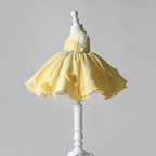 Cute Baby Girl Baptism Dress Toddler Birthday Communion Princess Dress