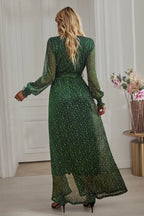 Long Sleeve V-Neck Maxi Dress