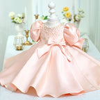 Baby Girl First Communion Dress Back Bow Zipper Princess Dress