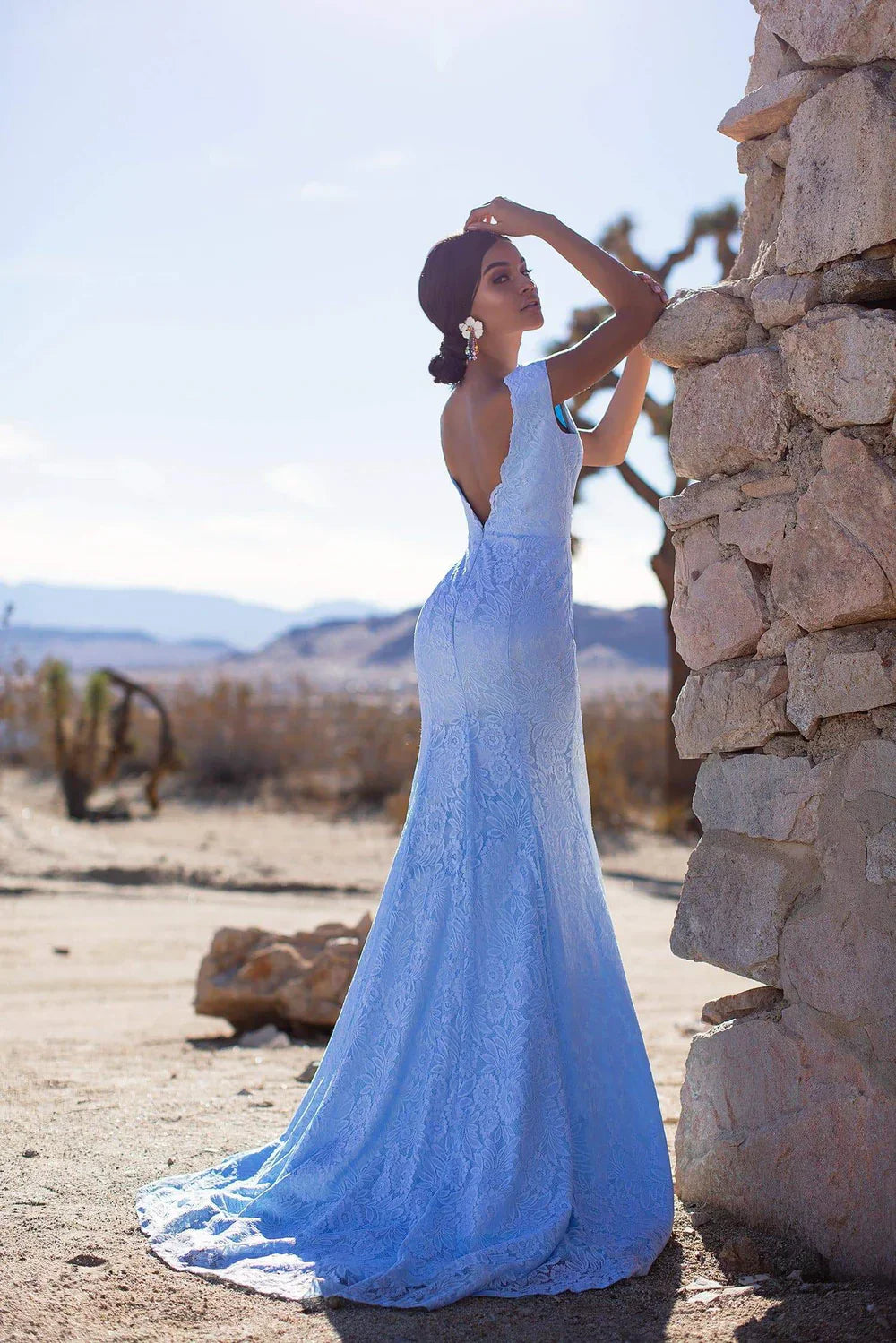 Elegant Sleeveless V Neck Backless Lace Brush Train Prom Dresses