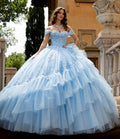 Elegant Off Shoulder Glitter Tulle Ball Gown with Sequin Corset and Cathedral Train