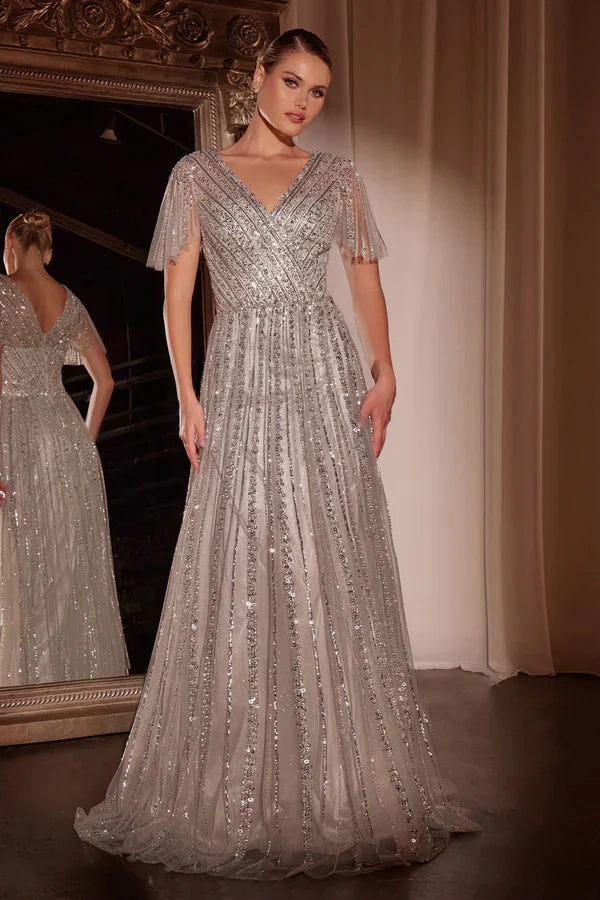 Charming Cinderella Divine Short Sleeve V back Floor-Length Prom Dresses