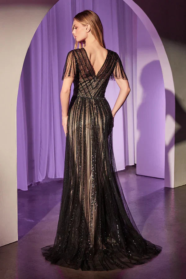 Charming Cinderella Divine Short Sleeve V back Floor-Length Prom Dresses
