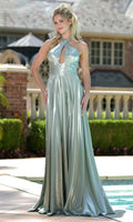 Chic Halter Ruched Keyhole Liquid Metallic Gown