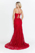 Lace Embroidered Long Formal Dress