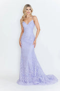 Lace Embroidered Long Formal Dress