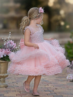 Ball-Gown/Princess Tulle Knee-length Baby Girl Dress