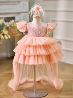 Ball-Gown/Princess Tulle Asymmetrical 1st Birthday Party Baby Girl Dress