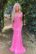Tulle Mermaid Deep V-neck Prom Dresses With Lace Appliques