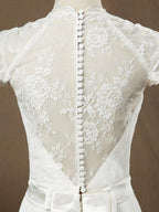 Sheath / Column Deep V-neck Cap Sleeves Chiffon match Lace Evening Dress See Through Back Buttons