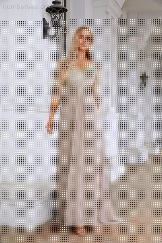 Women Chiffon V Neck Long Half Sleeves  Mother of Bride Dress Wedding Wedding Party  SY28108