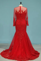 Mermaid Long Sleeves  Evening Dress with Appliques