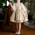 Flower Girl Dress Toddler Communion Retro Flower Puffy Princess Birthday Party Dress