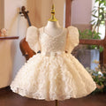 Baby Girl Sequins Flower Dress Toddler First Communion Dresses Birthday Dress