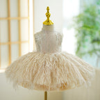 Champagne 1st Birthday Baby Girl Dress