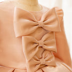 Baby Girl Dress Toddler Communion Cute Bow Princess Pageant Dresses