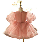 Toddler First Communion Dress Baby Girl Birthday Party Dress Flowers Puffy Pageant Dress