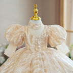 Toddler Ball Gowns Girl Communion Sequins Wedding Birthday Party Princess Dress