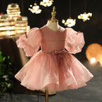 Toddler First Communion Dress Baby Girl Birthday Party Dress Flowers Puffy Pageant Dress
