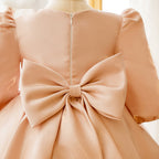 Baby Girl Dress Toddler Communion Cute Bow Princess Pageant Dresses