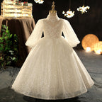 First Communion Dress Girl Long Sleeve Sequin Flower Girl Dress Pageant Princess Dress