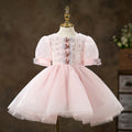 Baby Girl Dress Toddler Summer Pink Mesh Sequin Communion Pageant Princess Dress