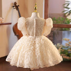 Baby Girl Sequins Flower Dress Toddler First Communion Dresses Birthday Dress