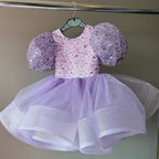 Cute Toddler Christmas Sequin Pageant Dress  Baby Girl First Communion Princess Dress