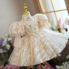 Toddler Ball Gowns Girl Communion Sequins Wedding Birthday Party Princess Dress