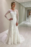 Amazing Column Lace Long Sleeve Wedding Dresses With Appliques
