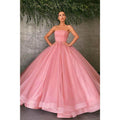 Ball Gown Pink Tulle Strapless Long Prom Evening Dress