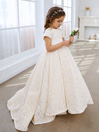 A-line Lace Sweep Train Ivory Dress (010146744)