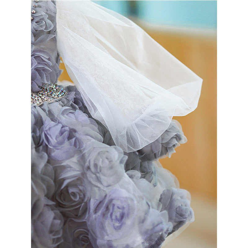 Baby Girl First Communion Dress Flower Girl Princess Dress Rose Beaded Mesh Fluffy  Dress